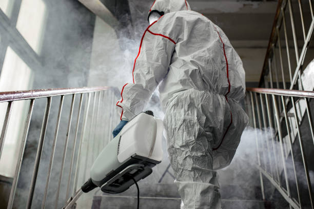 Effort, PA Mold Removal Company